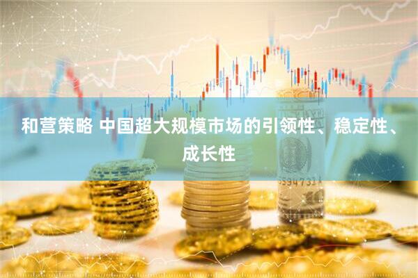 和营策略 中国超大规模市场的引领性、稳定性、成长性