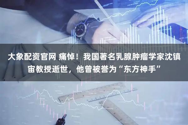 大象配资官网 痛悼！我国著名乳腺肿瘤学家沈镇宙教授逝世，他曾被誉为“东方神手”