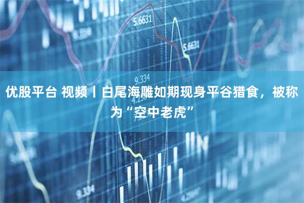 优股平台 视频丨白尾海雕如期现身平谷猎食，被称为“空中老虎”
