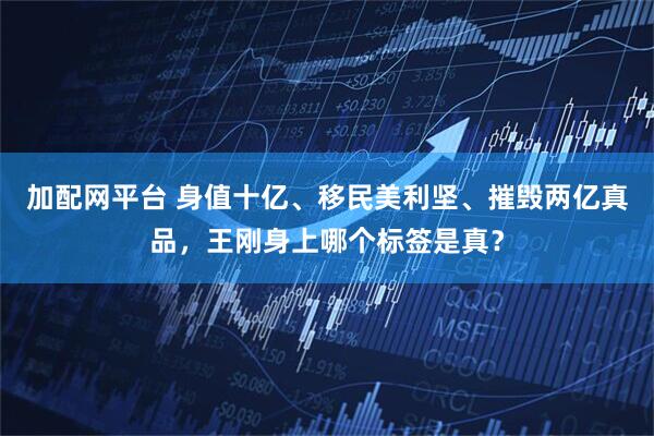 加配网平台 身值十亿、移民美利坚、摧毁两亿真品，王刚身上哪个标签是真？