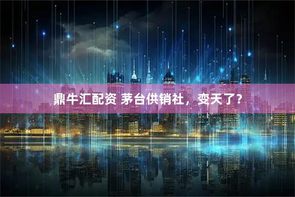 鼎牛汇配资 茅台供销社，变天了？