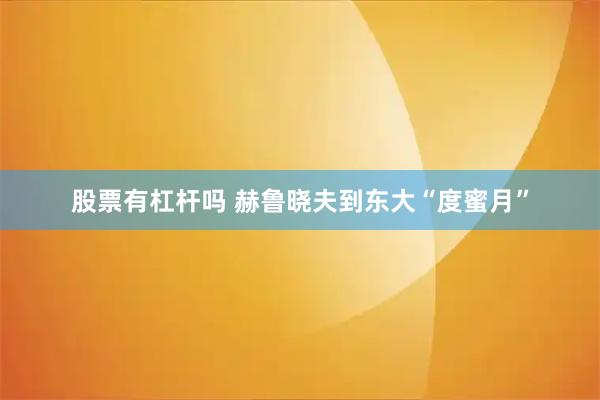 股票有杠杆吗 赫鲁晓夫到东大“度蜜月”